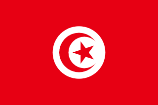 튀니지の国旗